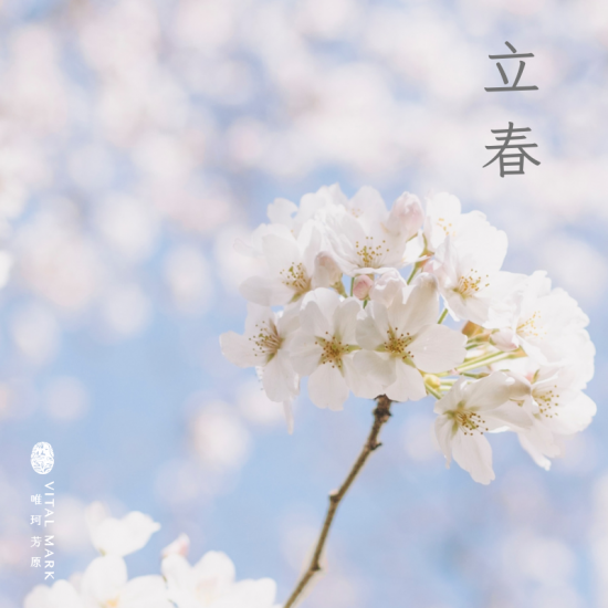 立春