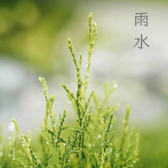 雨水