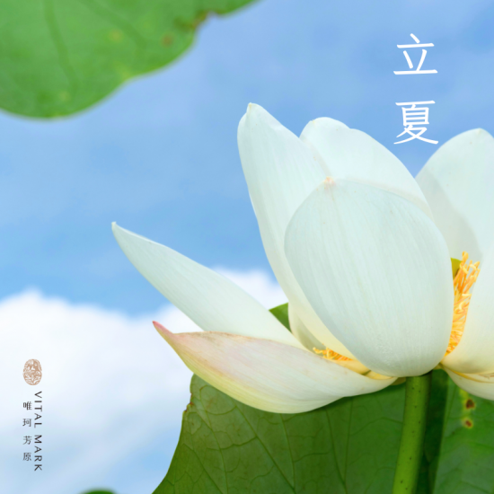 立夏 5/5~5/7