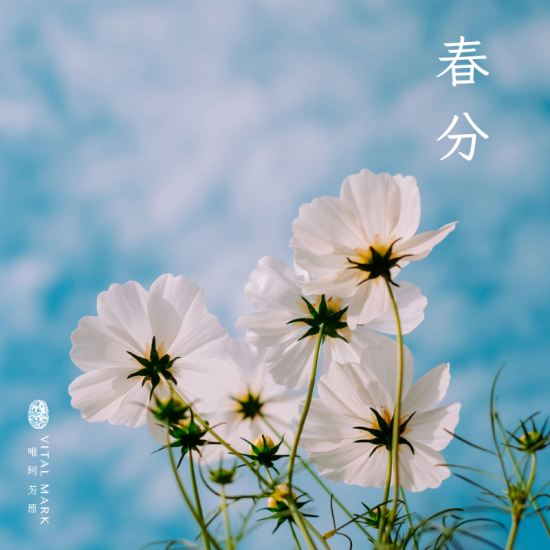 春分 3/20~3/22