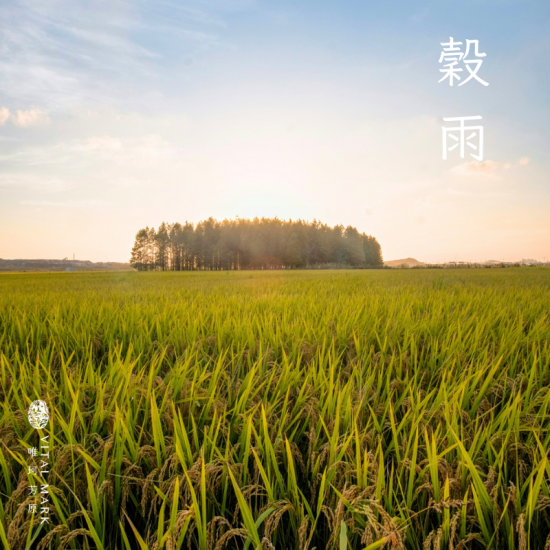 穀雨 4/19~4/21